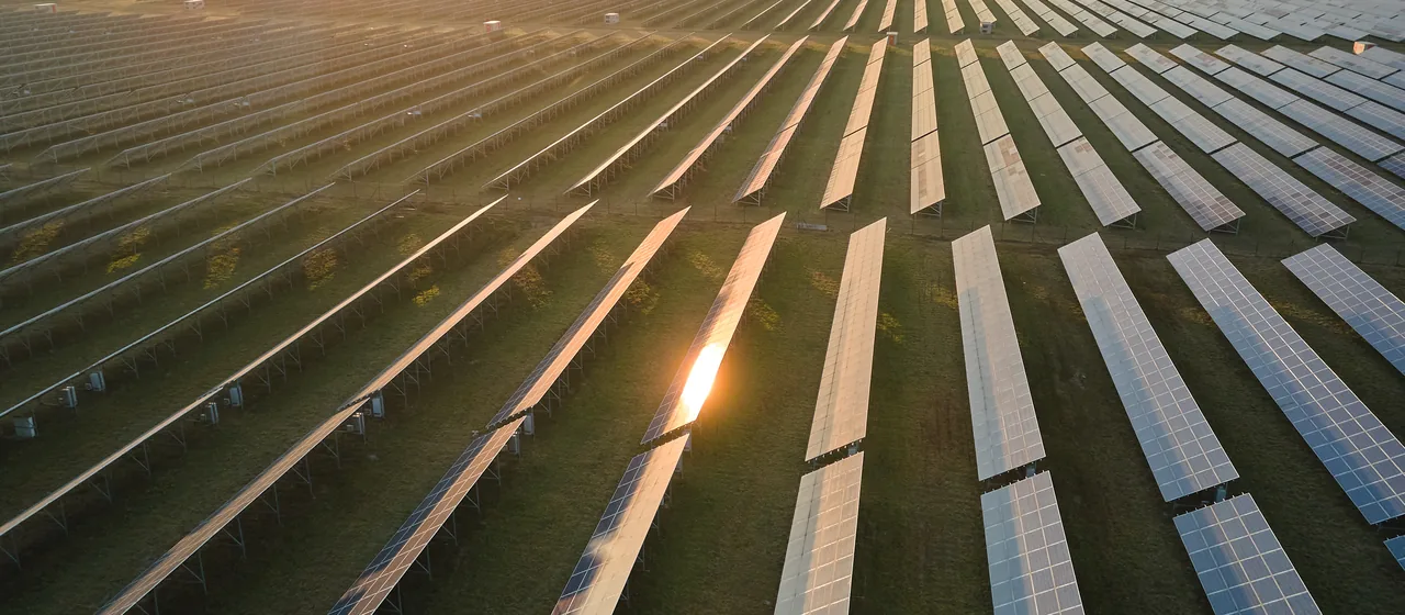 Parque solar: filas de paneles fotovoltaicos al atardecer